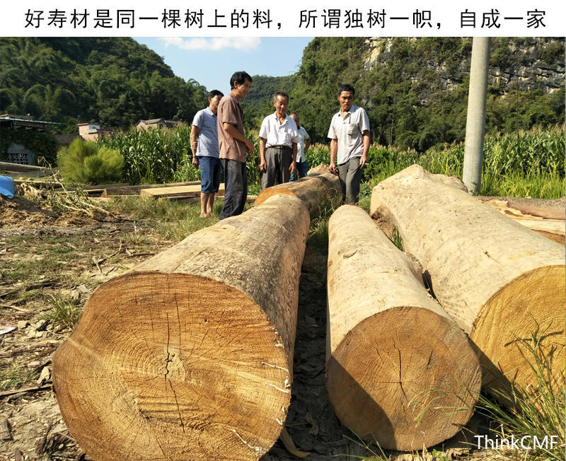 圖說(shuō)一個(gè)古老沉重而又不能回避的話題